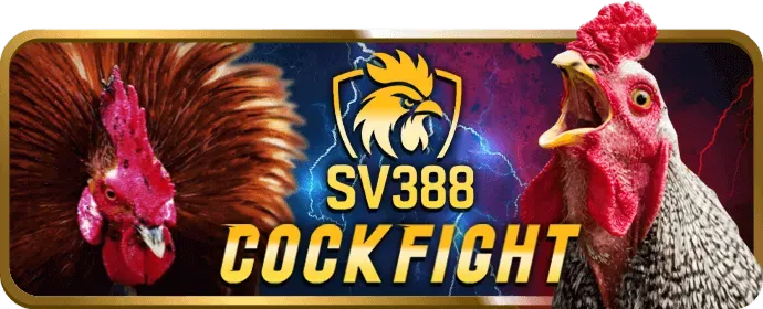 Các chương trình khuyến mãi và ưu đãi tại 33win69 link vào
